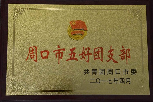 五好团支部.jpg