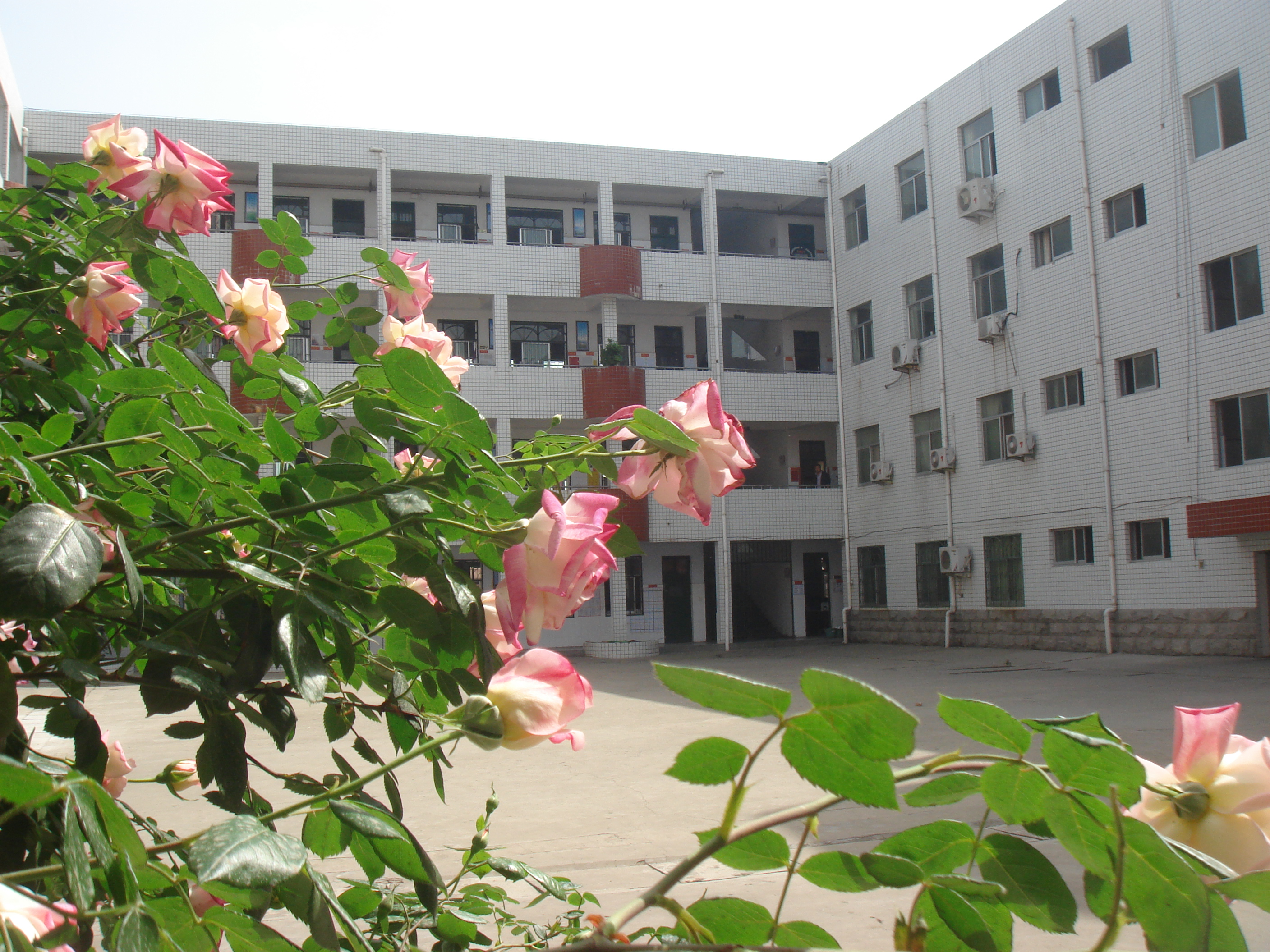 扶沟县县直高级中学